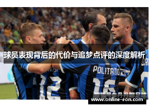 球员表现背后的代价与追梦点评的深度解析