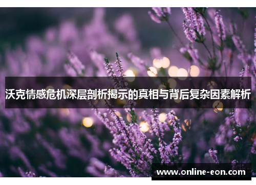 沃克情感危机深层剖析揭示的真相与背后复杂因素解析