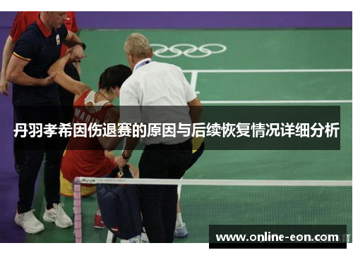 丹羽孝希因伤退赛的原因与后续恢复情况详细分析