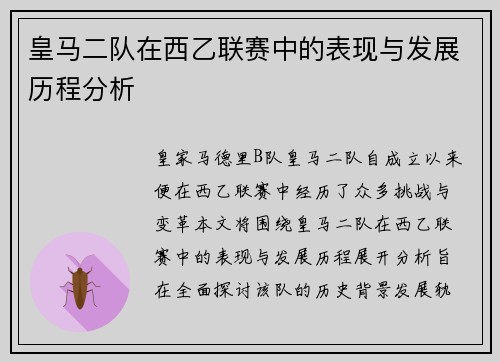 皇马二队在西乙联赛中的表现与发展历程分析