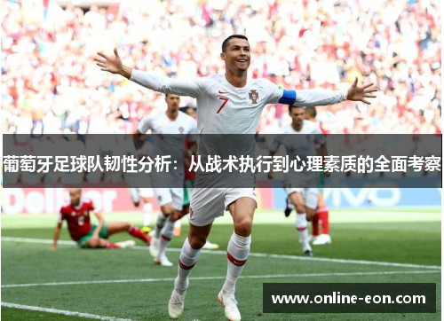 葡萄牙足球队韧性分析:从战术执行到心理素质的全面考察 葡萄牙足球队韧性分析:从战术执行到心理素质的全面考察