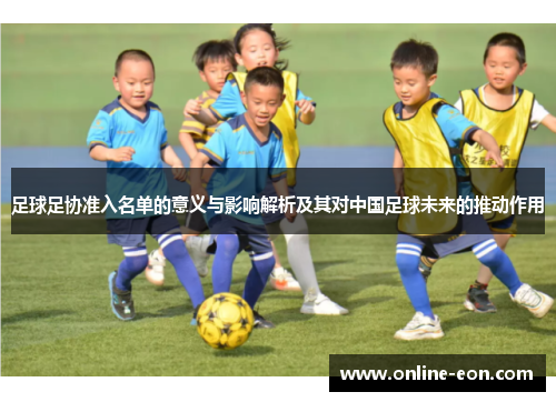 足球足协准入名单的意义与影响解析及其对中国足球未来的推动作用